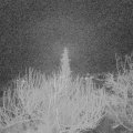 Webcam_20200227-053000