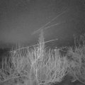Webcam_20200227-060000