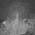 Webcam_20200227-203000