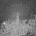 Webcam_20200227-210000