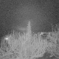Webcam_20200227-213000