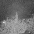 Webcam_20200227-220000