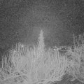 Webcam_20200228-050000