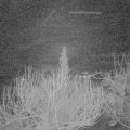 Webcam_20200228-053000