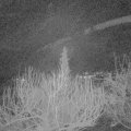 Webcam_20200228-060000