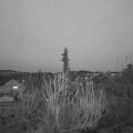 Webcam_20200228-183000