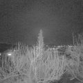 Webcam_20200228-190000