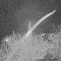 Webcam_20200228-213000