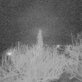 Webcam_20200228-220000