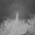 Webcam_20200229-053000