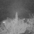 Webcam_20200229-190000