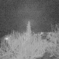 Webcam_20200229-193000