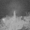 Webcam_20200229-203000