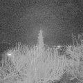 Webcam_20200229-213000