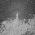 Webcam_20200229-220000