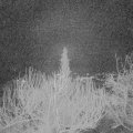 Webcam_20200301-060000