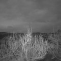 Webcam_20200301-063000