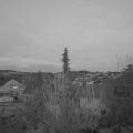 Webcam_20200301-183000