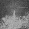 Webcam_20200301-210000