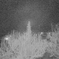Webcam_20200301-220000