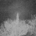 Webcam_20200302-050000