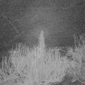 Webcam_20200302-060000