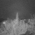 Webcam_20200302-190000