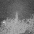 Webcam_20200302-203000