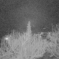 Webcam_20200302-213000