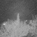 Webcam_20200302-220000