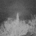 Webcam_20200303-050000