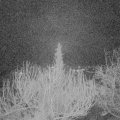 Webcam_20200303-060000