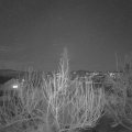 Webcam_20200303-190000