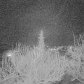 Webcam_20200303-200000