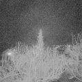 Webcam_20200303-210000