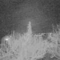 Webcam_20200303-213000