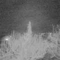 Webcam_20200303-220000