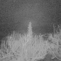 Webcam_20200304-053000