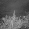 Webcam_20200304-200000