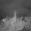 Webcam_20200304-203000