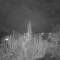 Webcam_20200304-210000