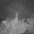 Webcam_20200304-213000