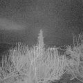 Webcam_20200305-060000