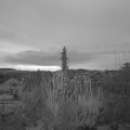 Webcam_20200305-063000