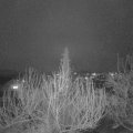 Webcam_20200305-190000