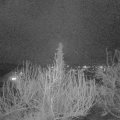 Webcam_20200305-200000