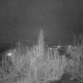 Webcam_20200305-203000