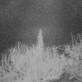 Webcam_20200306-050000