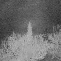 Webcam_20200306-053000
