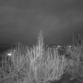 Webcam_20200306-190000